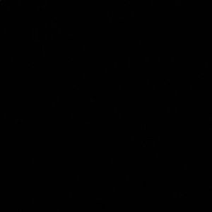 Rhude x Thierry Lasry Rhodeo